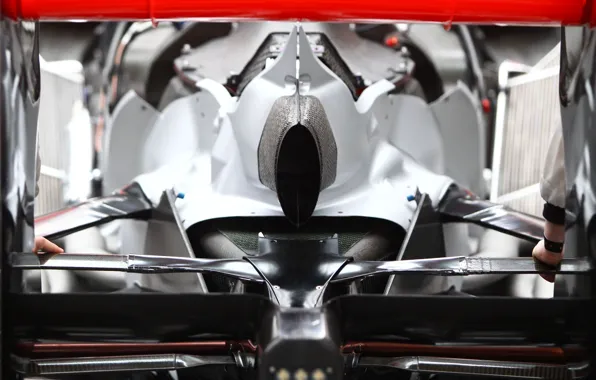 Picture sport, McLaren, formula 1, the car, formula 1, rear view