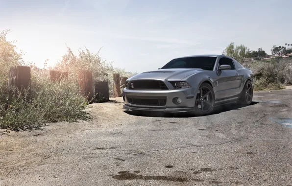 Picture the sky, grey, mustang, Mustang, ford, shelby, Ford, front view, Shelby, grey, gt500, tinted