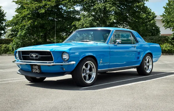 Picture blue, Mustang, Ford, muscle car, the front, Muscle car