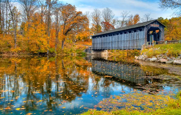 Picture autumn, bridge, nature, river