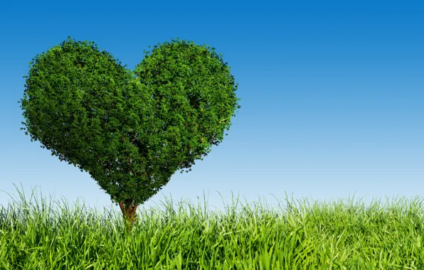 Picture love, tree, green, heart, love, field, heart, tree