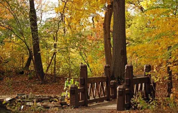 Picture autumn, landscape, bridge, nature, Park, bridge, wood, resize