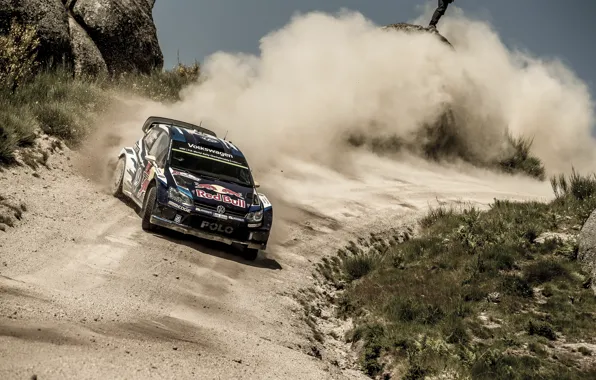 Picture Volkswagen, rally, WRC, Volkswagen, Polo, Polo R, 2015