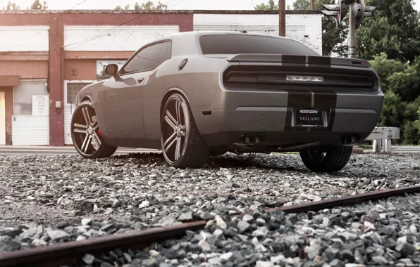 Picture Auto, Trees, Tuning, Machine, Dodge, Challenger, Rails, Crushed stone, Traffic light