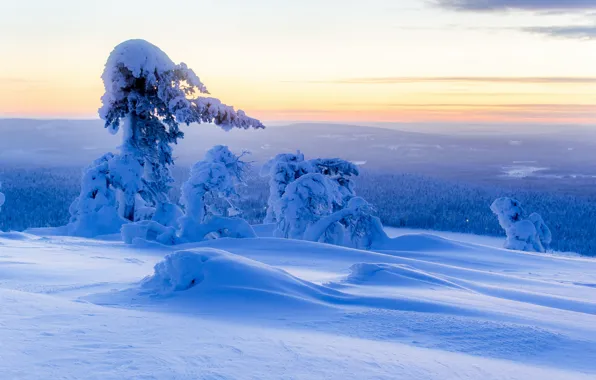 Picture winter, snow, trees, panorama, the snow, Finland, Finland, Lapland, Lapland, Ylläs, Ylläs
