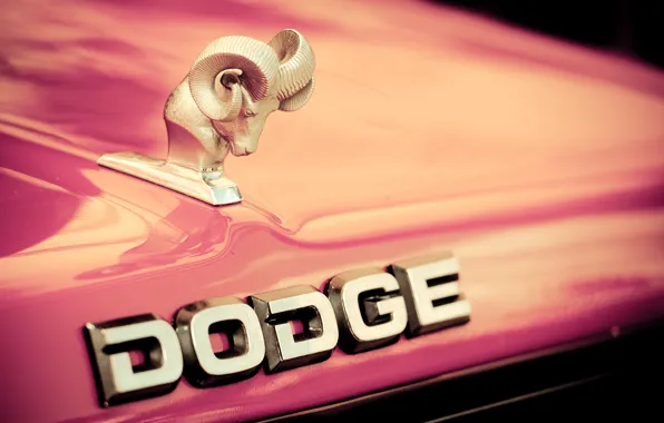 Picture the hood, logo, Dodge, emblem