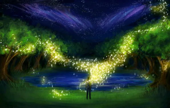 Picture grass, trees, night, lake, fireflies, people, lights, art, sparks