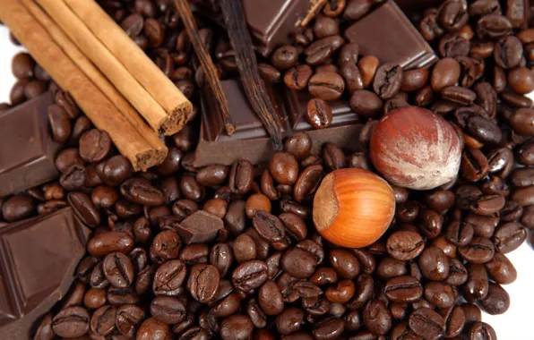 Picture food, chocolate, food, sweets, nuts, cinnamon, chocolate, sweet, hazelnuts, coffee beans, nuts, coffee, delicious, cinnamon