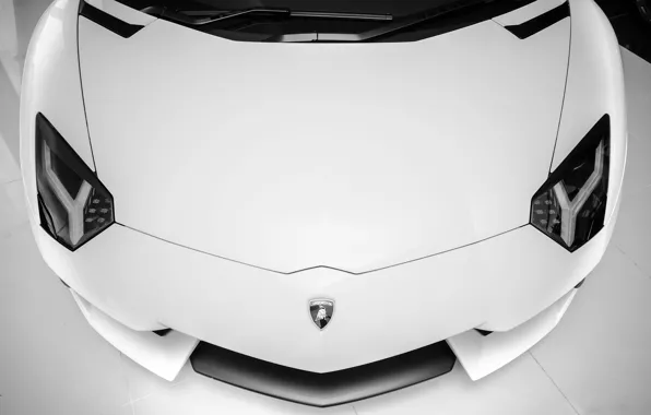Picture white, lights, Lamborghini, supercar, white, supercar, front, aventador, lp700-4, Lamborghini, aventador