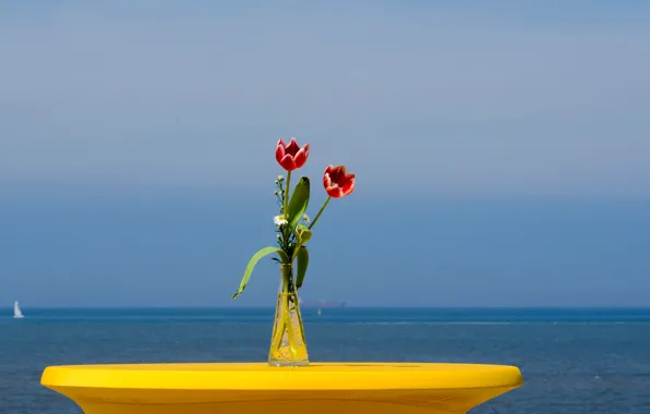 Picture sea, the sky, flowers, yacht, tulips, sail, vase