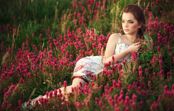 Picture field, summer, grass, flowers, nature, Girl, meadow