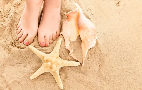Picture sand, beach, summer, feet, shell, summer, beach, legs, sand, shells