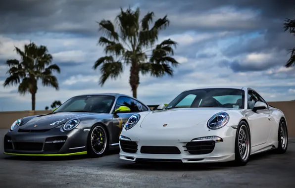 Picture white, the sky, clouds, palm trees, silver, 911, Porsche, silver, white, Porsche, sky, front, palm