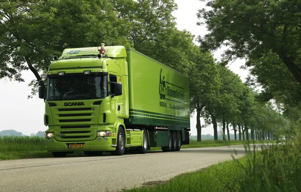 Picture Road, Trees, Truck, Car, Green, Green, Truck, Scania, Tractor, The trailer, Scania, Scania Trucks, Grove, …