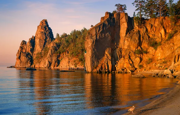 Picture trees, sunset, lake, rocks, bird, shore, pier, Baikal, Russia, Baikal