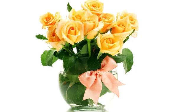 Picture flowers, roses, bouquet, vase, orange, bow, white background