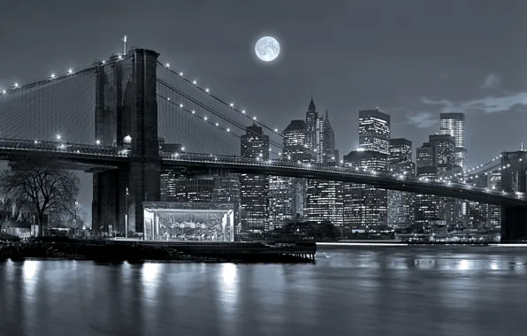 Picture the sky, night, bridge, lights, river, the moon, home, New York, skyscrapers, black and white, …