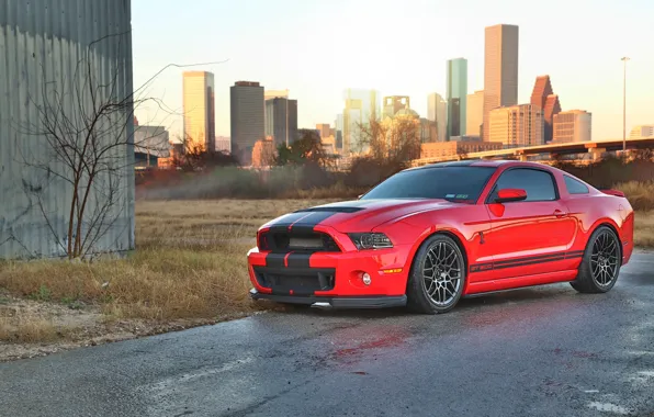 Picture mustang, red, ford, shelby, cobra, gt500