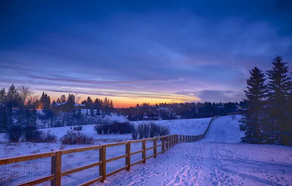 Picture winter, snow, traces, sunrise, morning, village, the fence, track, the village