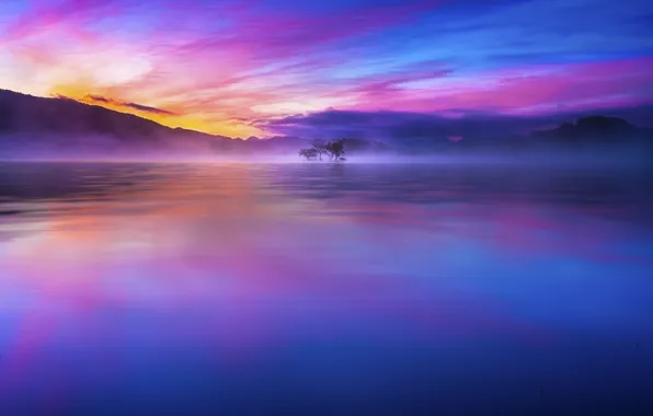 Picture Japan, Sky, Beautiful, Wood, Blue, Tree, Water, Sunrise, Morning, Lake, Grow