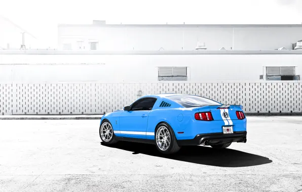 Picture blue, Mustang, Ford, Shelby, GT500, Mustang, muscle car, Ford, Shelby, blue, the rear part, racing …