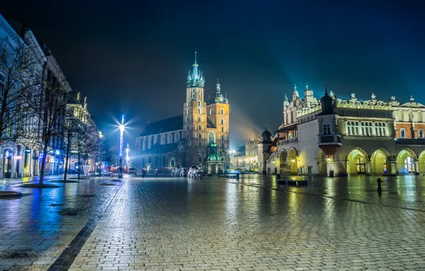 Picture night, the city, lights, area, Poland, Cathedral, Krakow