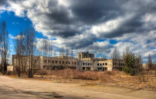 Picture road, the building, the bushes, Pripyat