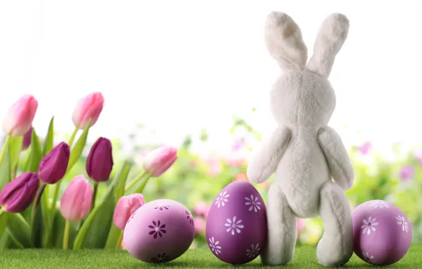 Picture flowers, eggs, spring, rabbit, Easter, tulips, flowers, tulips, spring, Easter, eggs, decoration, Happy