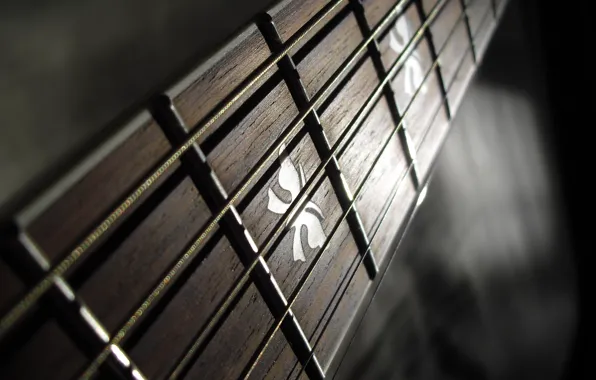 Picture macro, strings, Guitar, Frets, Grif