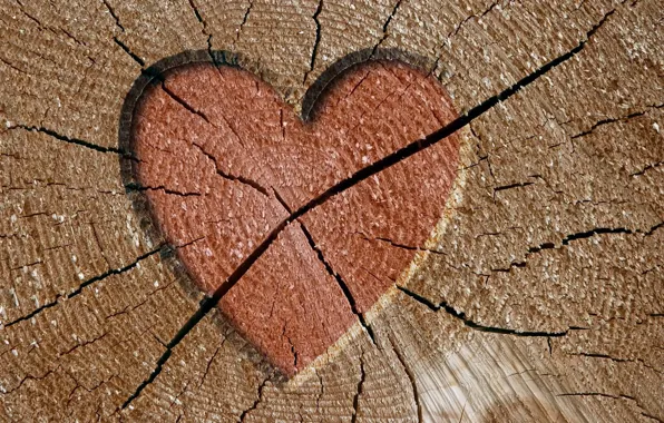 Picture cracked, tree, heart
