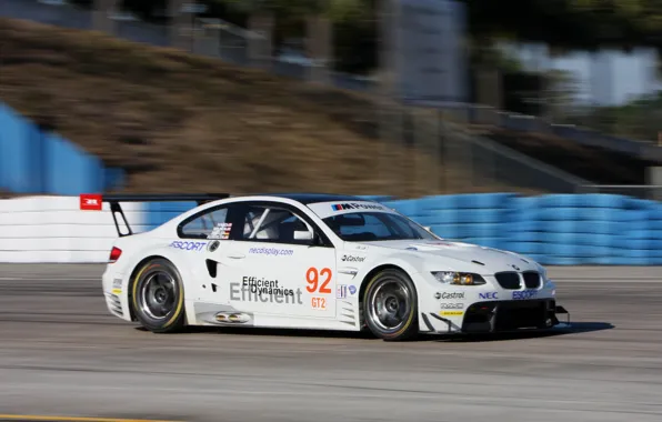 Picture BMW, GT2, ALMS