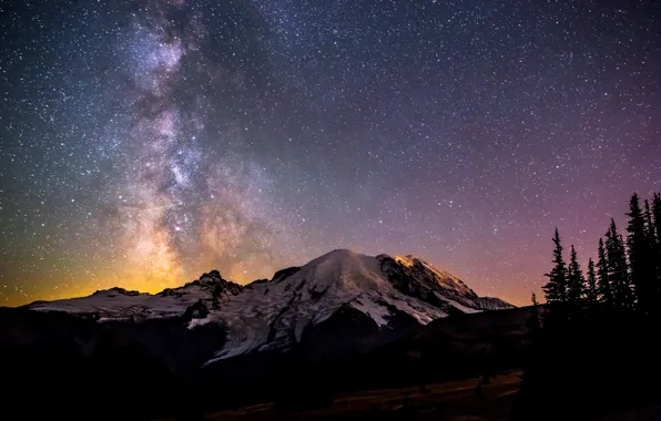 Picture winter, forest, stars, snow, landscape, mountains, the milky way, Rainier National Park