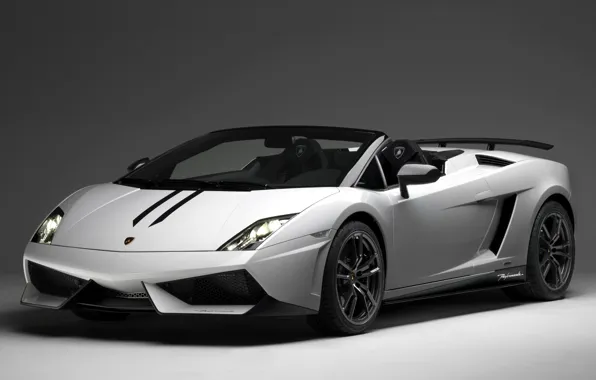 Picture machine, white, background, Lamborghini, supercar, Gallardo, Spyder, the front, LP570-4, Performante