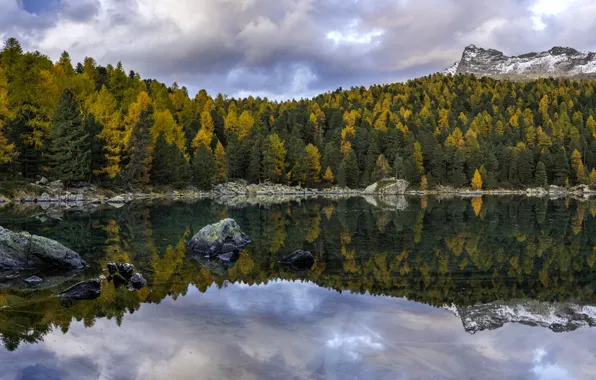 Picture autumn, forest, trees, mountains, lake, reflection, Switzerland, Switzerland, The Val Field, Lago di Saoseo, Poschiavo, …