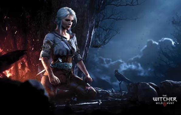 Picture forest, girl, night, fire, meditation, The Witcher, Ciri, cirilla, The Witcher 3: Wild Hunt |