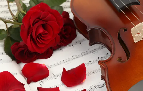Picture flowers, notes, music, violin, roses, petals, music, book, flowers, violin, book, petals, roses, sheet music