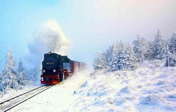 Picture winter, forest, snow, train, the engine