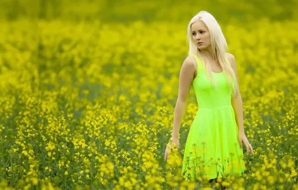 Picture field, girl, color, dress, Cathy