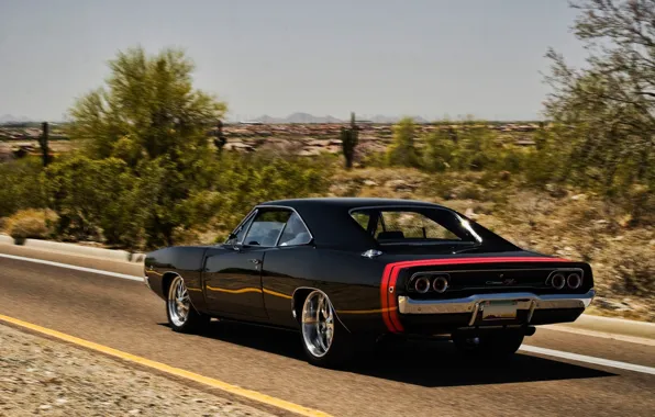 Picture road, strip, dodge, charger, r/t