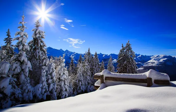 Picture winter, forest, the sky, the sun, snow, landscape, bench, nature, Park, white, forest, sky, landscape, …