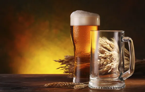 Picture glass, beer, barley, a beverage alcoholic
