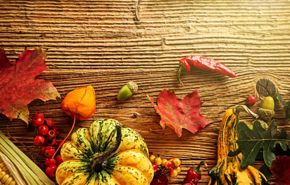 Picture autumn, leaves, berries, tree, corn, harvest, pumpkin, pepper, acorns