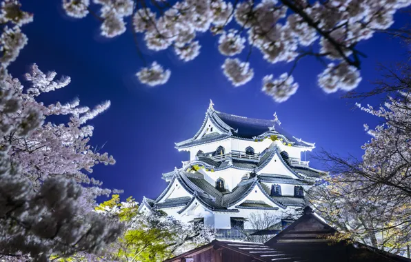 Picture spring, Japan, Sakura, Japan, Hikone Castle, Hikone, The Hikone Castle, Hikone
