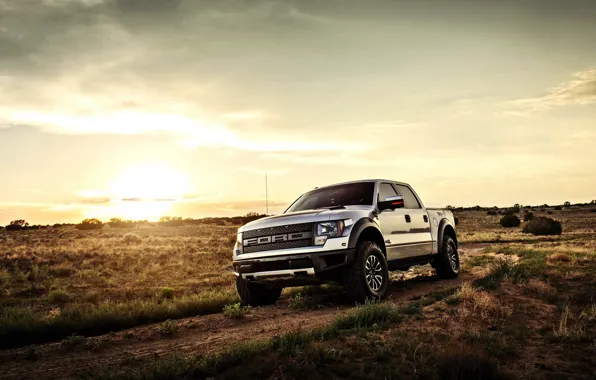 Picture car, SUV, ford, raptor, pickup, f-150, lunchbox photoworks