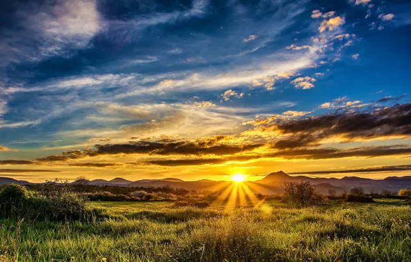 Picture greens, field, the sky, grass, clouds, sunset, mountains, the rays of the sun