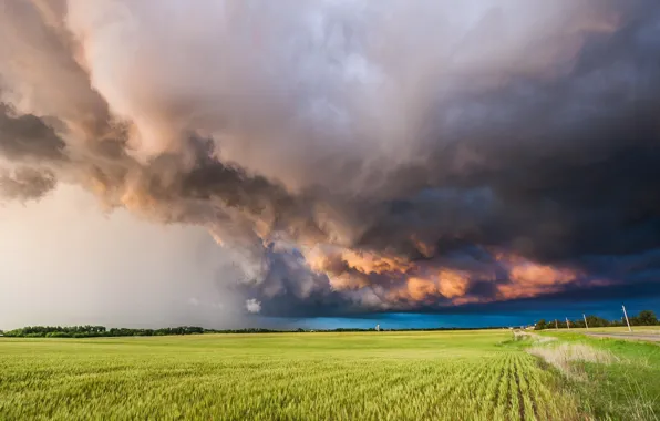 Picture the storm, field, landscape, clouds, nature