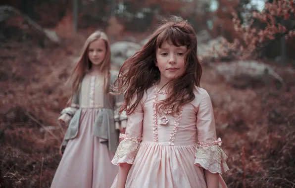 Picture forest, hair, girls, dresses