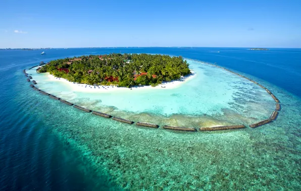 Picture sand, sea, beach, the sun, tropics, palm trees, island, horizon, houses, The Maldives, Olhuveli