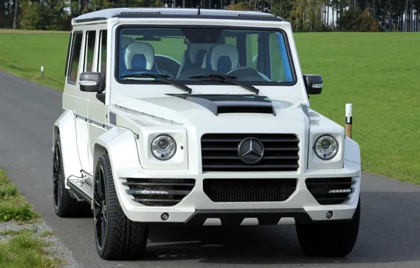 Picture Mercedes, Mansory, G, G-couture
