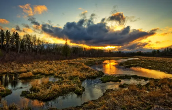 Picture grass, water, clouds, sunset, stream